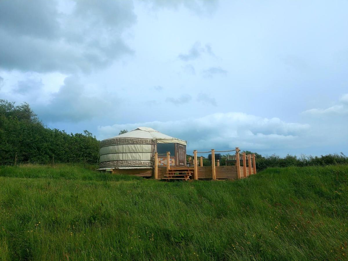 The Kites Rest At Castle Creavie Farm Hotel Kirkcudbright Bagian luar foto