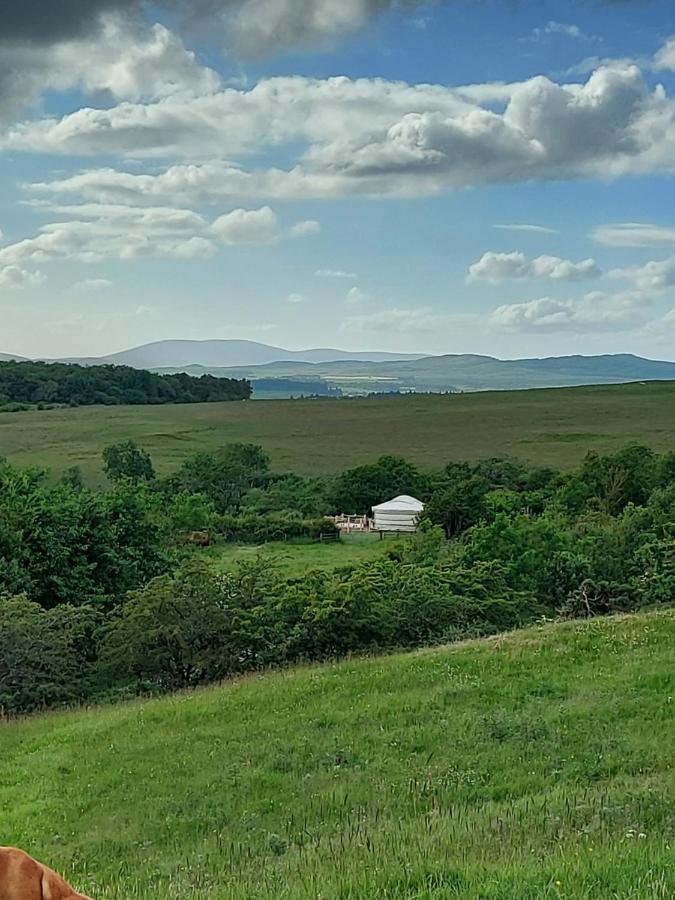 The Kites Rest At Castle Creavie Farm Hotel Kirkcudbright Bagian luar foto